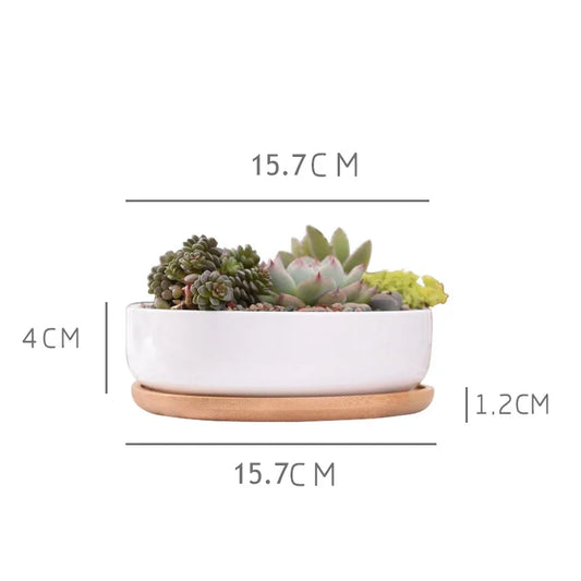 Pot rond en céramique blanche avec plateau en bambou – décoration moderne pour plantes succulentes et fleurs