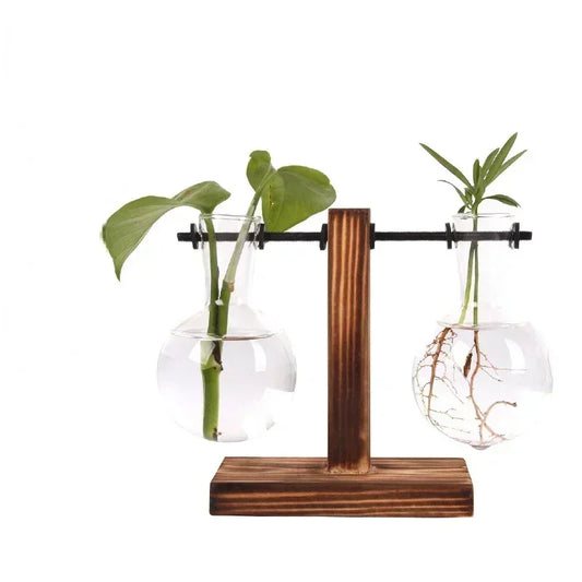 Vase Terrarium Hydroponique en Verre avec Support en Bois