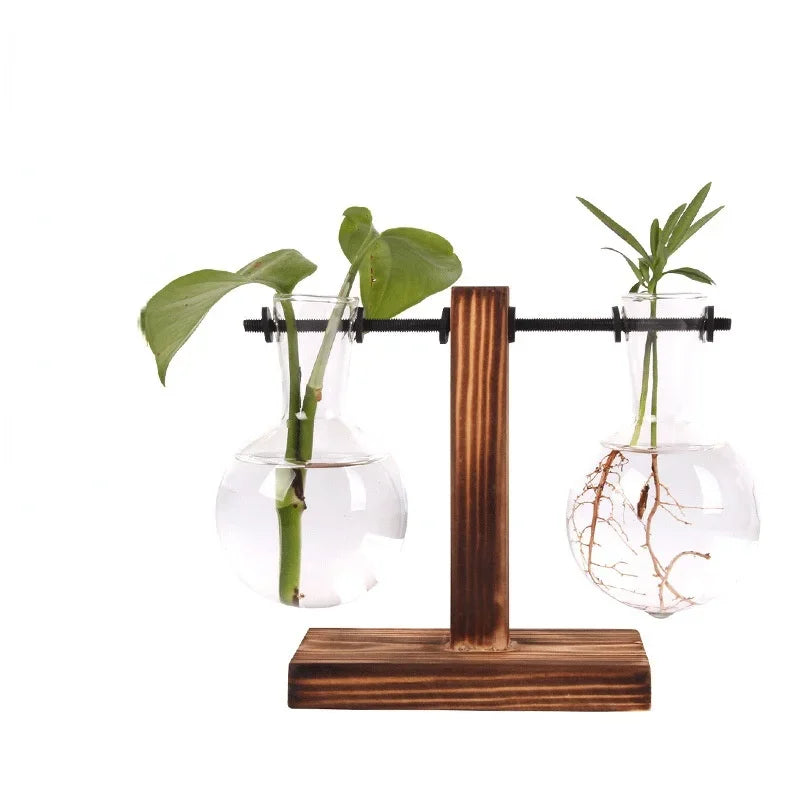 Vase Terrarium Hydroponique en Verre avec Support en Bois