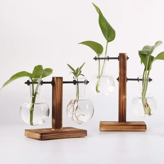 Vase Terrarium Hydroponique en Verre avec Support en Bois