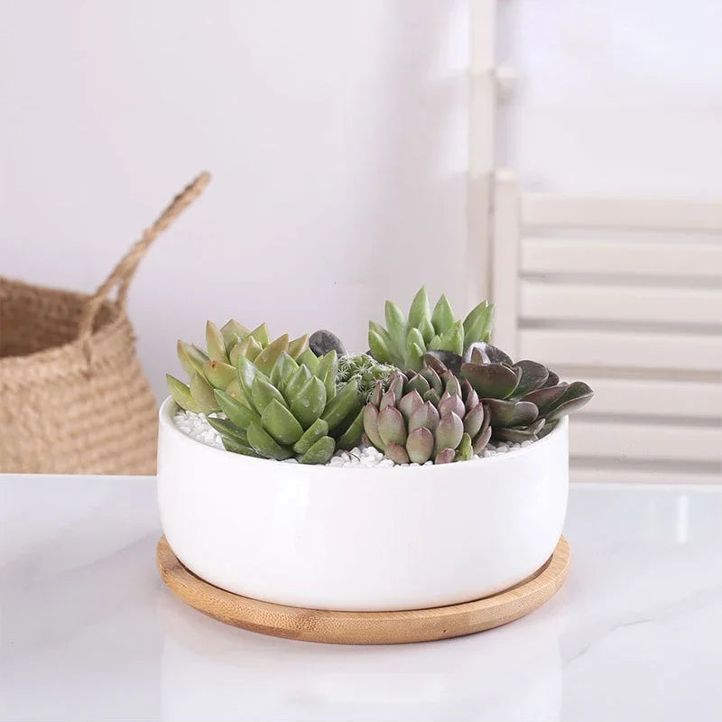 Pot rond en céramique blanche avec plateau en bambou – décoration moderne pour plantes succulentes et fleurs