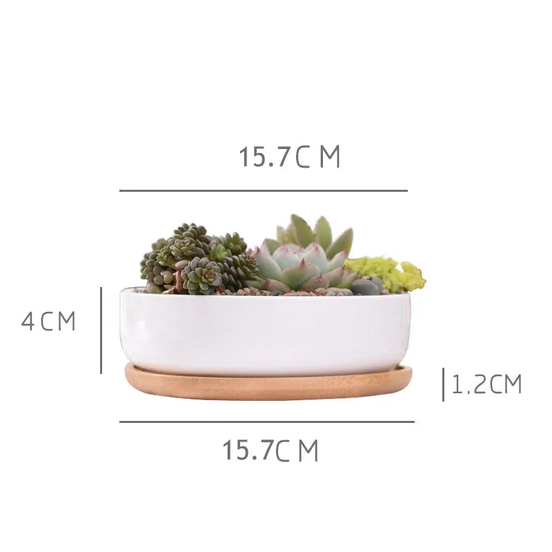 Pot rond en céramique blanche avec plateau en bambou – décoration moderne pour plantes succulentes et fleurs