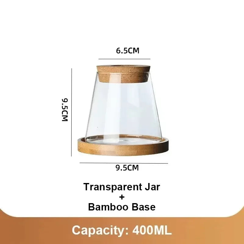 Vase en Verre Transparent – Plantes hyroponiques