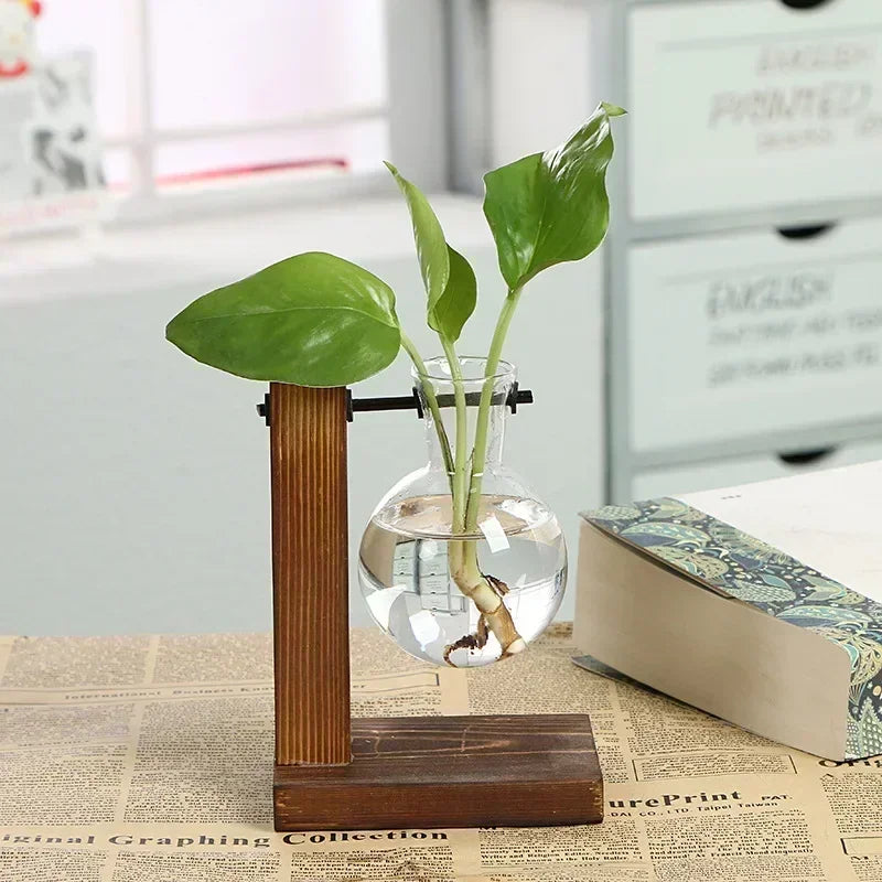 Vase Terrarium Hydroponique en Verre avec Support en Bois