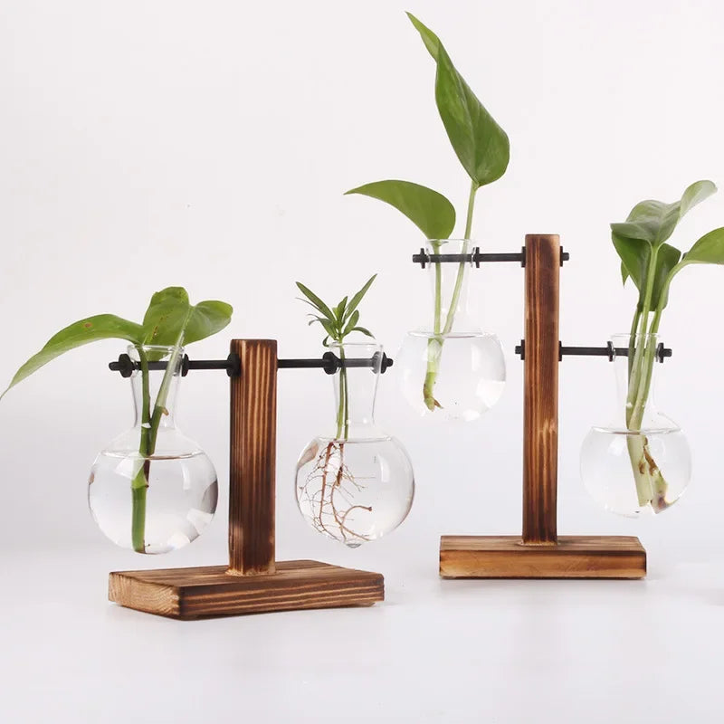 Vase Terrarium Hydroponique en Verre avec Support en Bois