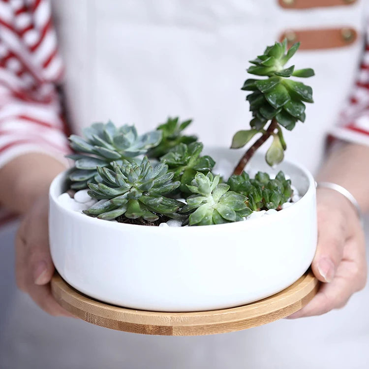 Pot rond en céramique blanche avec plateau en bambou – décoration moderne pour plantes succulentes et fleurs