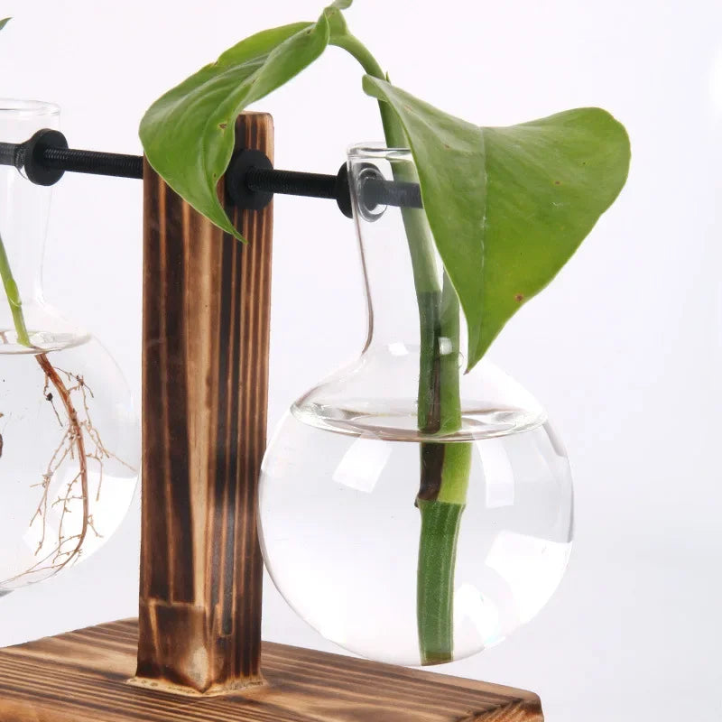 Vase Terrarium Hydroponique en Verre avec Support en Bois