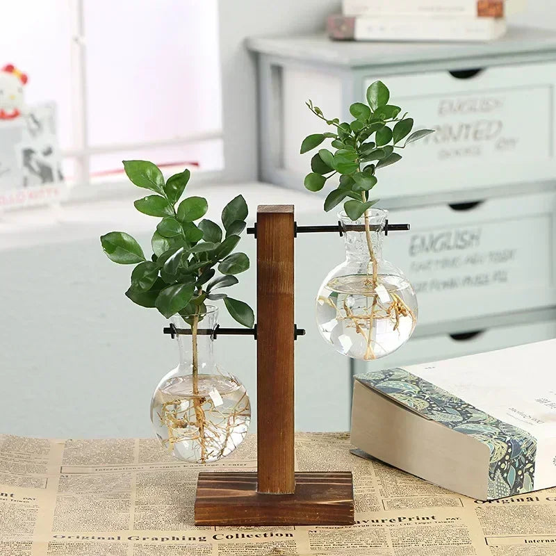 Vase Terrarium Hydroponique en Verre avec Support en Bois