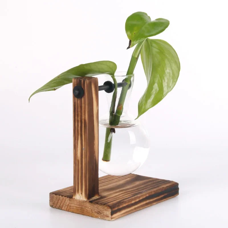 Vase Terrarium Hydroponique en Verre avec Support en Bois