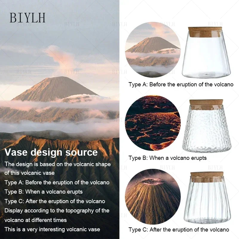 Vase en Verre Transparent – Plantes hyroponiques