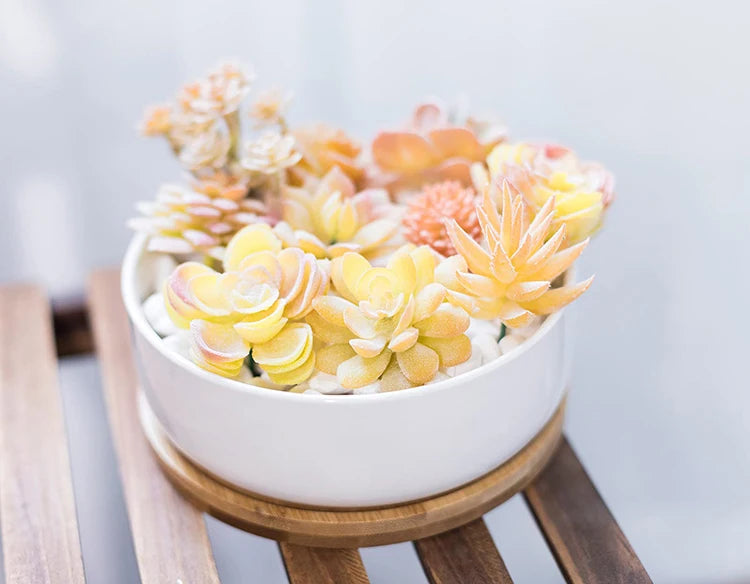 Pot rond en céramique blanche avec plateau en bambou – décoration moderne pour plantes succulentes et fleurs