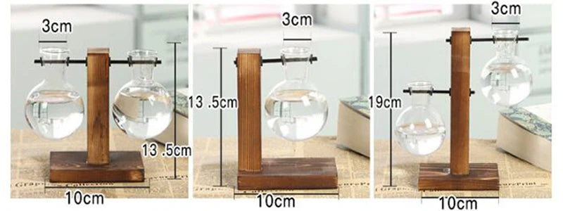 Vase Terrarium Hydroponique en Verre avec Support en Bois