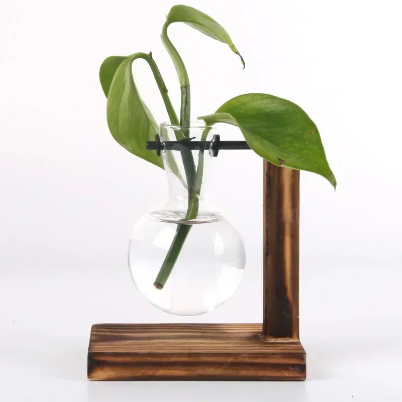 Vase Terrarium Hydroponique en Verre avec Support en Bois