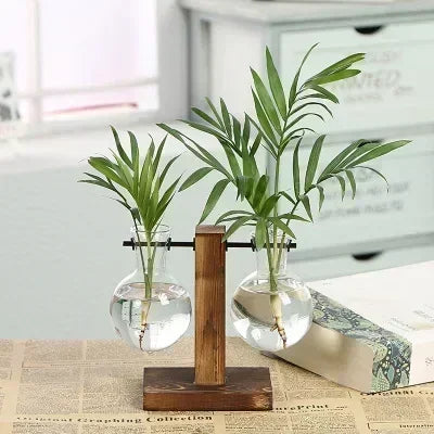 Vase Terrarium Hydroponique en Verre avec Support en Bois