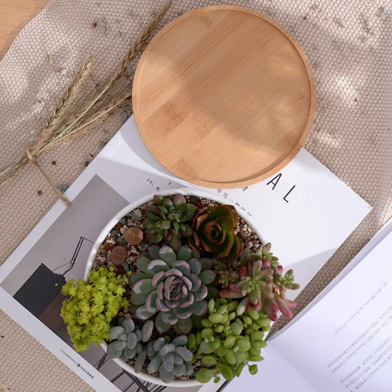Pot rond en céramique blanche avec plateau en bambou – décoration moderne pour plantes succulentes et fleurs